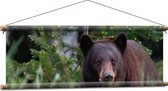 WallClassics - Affiche Textile - Ours Brun Marchant dans la Forêt - 90x30 cm Photo sur Textile