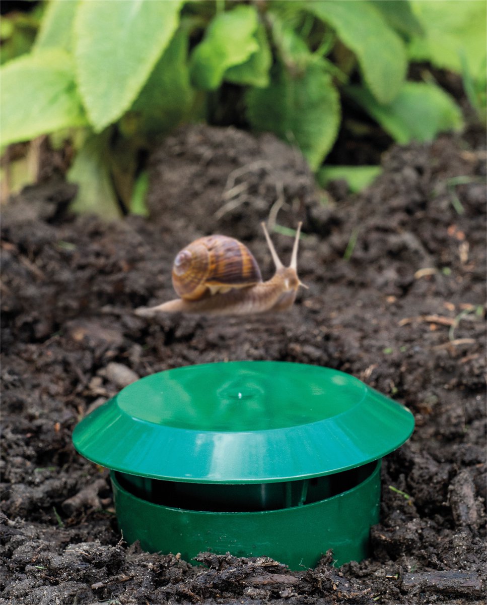 Piège à escargots pour le jardin - ENNon toxique - piège à bière contre les  escargots... | bol