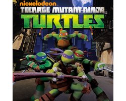 Turtles wii cheap