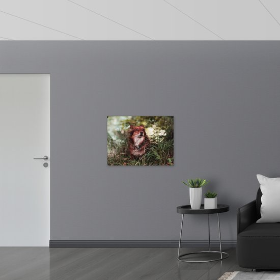 WallClassics - Muursticker - Bruin met Witte Hond in het Gras - 80x60 cm Foto op Muursticker