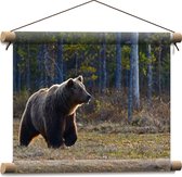 WallClassics - Affiche Textile - Ours Brun Cherchant des Pommes - 40x30 cm Photo sur Textile