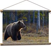 WallClassics - Affiche textile - Ours brun à la recherche de pommes - Photo sur textile 60x40 cm