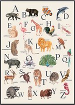 Affiche de l'alphabet des Animaux No Filter - 30x40 cm - Néerlandais - ABC Éducatif la maternelle - Affiche des animaux