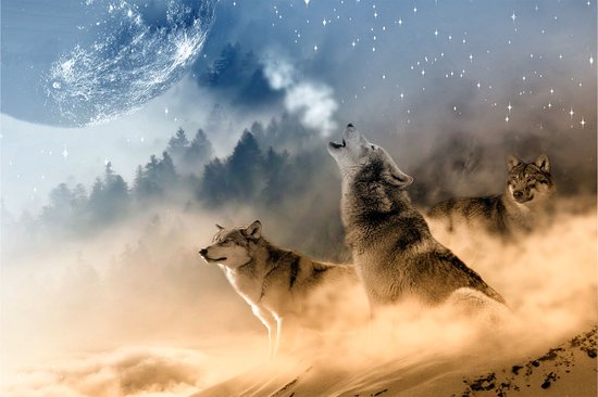Poster wolven| Fotofabriek dieren poster | Poster jongens | Poster dieren