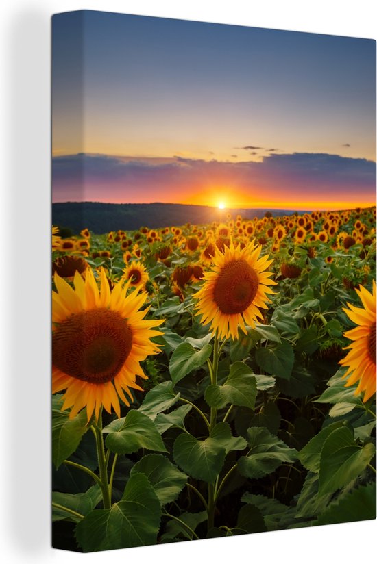 Peinture sur toile - Photo sur toile - Tournesol - Fleurs - Nuages - Ciel - Lumière du soleil - Décoration de chambre - Fleurs sur toile - 120x160 cm - Chambre