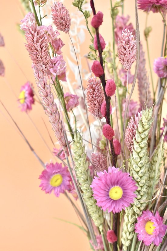 Droogbloemen boeket - Natuurlijk Bloemen - 50 cm - Roze Mix