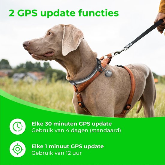 Nuvance GPS Tracker voor Hond Huisdier IP67 Waterdicht Grijs