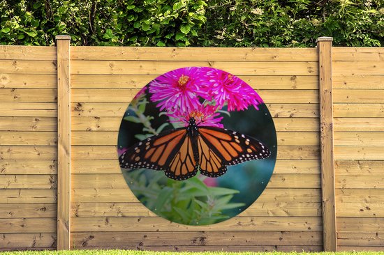 Garden Circle Butterfly - Botanique - Fleurs - 150x150 - Affiche Ronde de Jardin - Extérieur