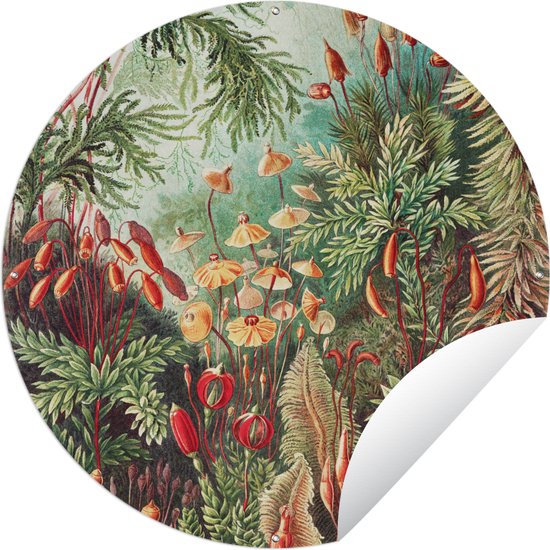 Tuincirkel Bloemen - Kunst - Vintage - Natuur - Botanisch - 90x90 cm - Ronde Tuinposter - Buiten