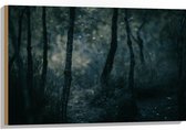 WallClassics - Hout - Dunne Takken in Donker Bos - 90x60 cm - 12 mm dik - Foto op Hout (Met Ophangsysteem)