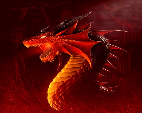 NAIMOER Dragon Diamond Painting White Dragon Diamond Painting Pictures, Diamond Painting Adult Animals Diamond Painting Pictures Cross Embroidery Set 5D Diamond Painting for Home Décor 30 x 40 cm