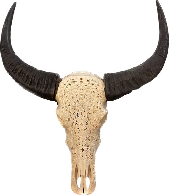 Skull - Skull Gegraveerd - Buffelschedel - Longhoorn - Wanddecoratie - 65 cm