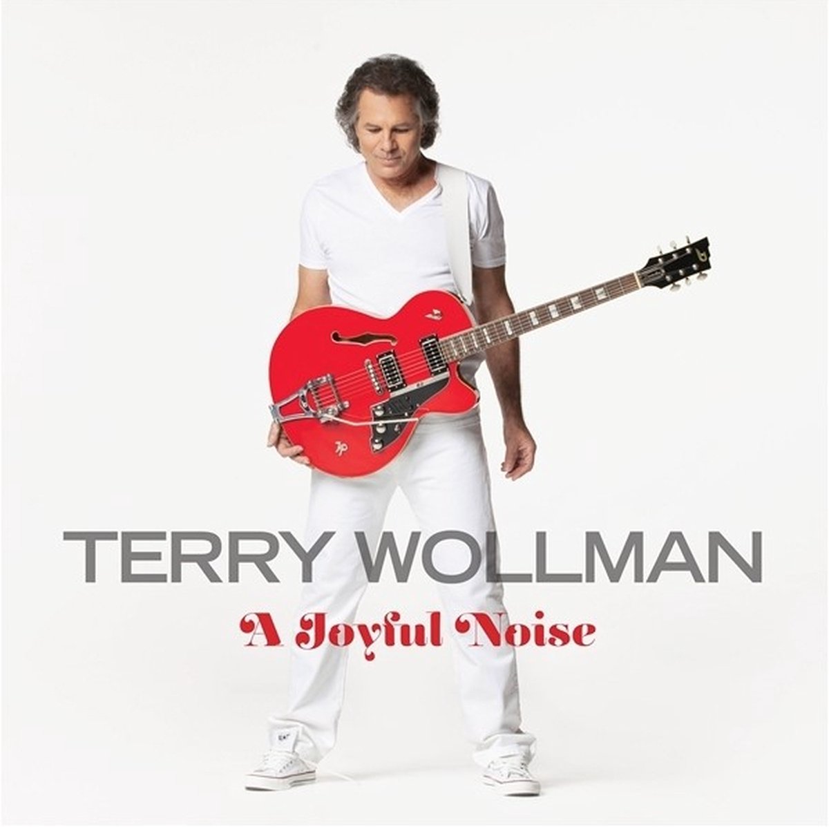 Terry Wollman - A Joyful Noise (CD)