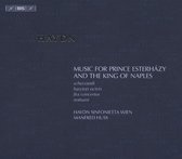 Haydn Sinfonietta Wien - Music For Prince Esterhazy And The (6 CD)