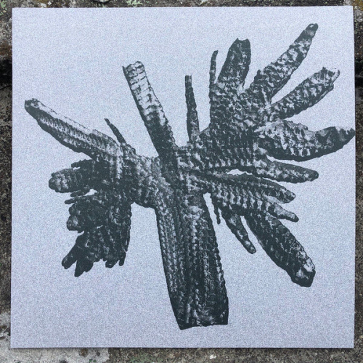 Crystal Geometry - Thorned Ep