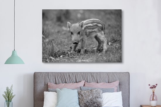Tableau sur toile Veau sanglier dans l'herbe - noir et blanc - 150x100 cm - Décoration murale