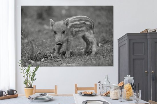 Tableau sur toile Veau sanglier dans l'herbe - noir et blanc - 150x100 cm - Décoration murale
