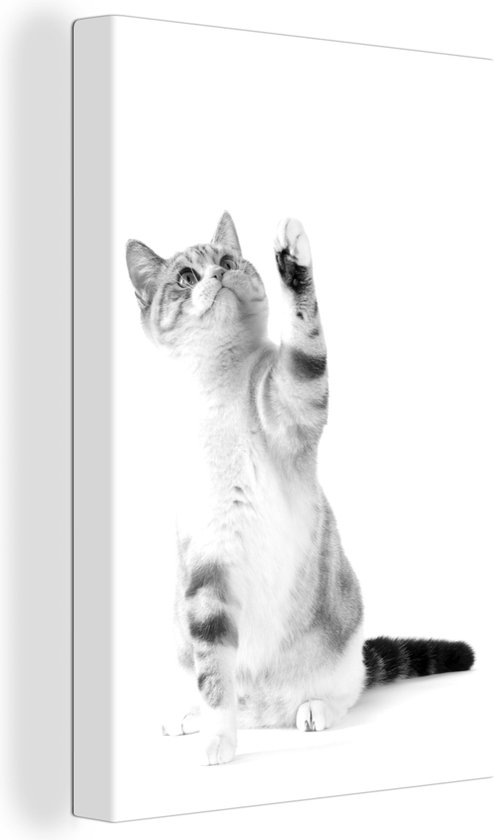 Canvas schilderij 120x180 cm - Wanddecoratie Spelende kat op witte achtergrond - zwart wit - Muurdecoratie woonkamer - Slaapkamer decoratie - Kamer accessoires - Schilderijen
