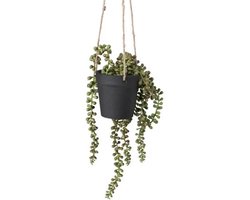 Hangmand Hang potje Erwtenplant Hangplant in pot Aan Touw 65cm Kunststof Plant in pot Plantenhanger