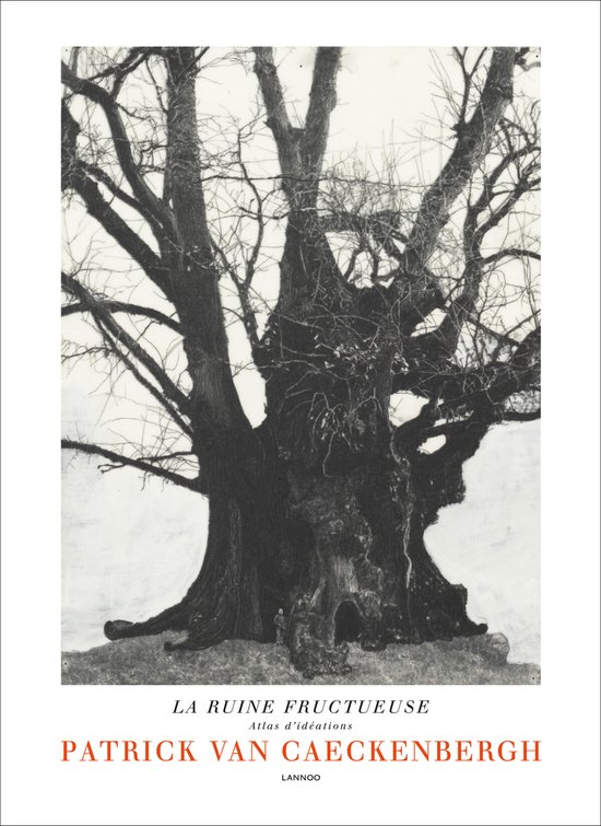 Cover van het boek 'La ruine fructueuse' van Natacha Pugnet