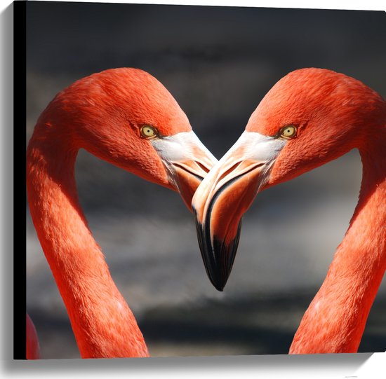 WallClassics - Canvas  - Verliefde Flamingo's  - 60x60 cm Foto op Canvas Schilderij (Wanddecoratie op Canvas)