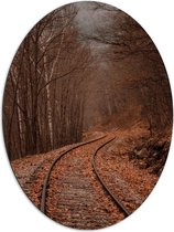 WallClassics - Dibond Ovaal - Treinrails tussen Bossen - 72x96 cm Foto op Ovaal (Met Ophangsysteem)