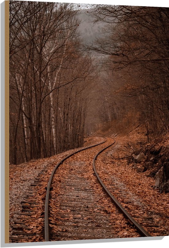 WallClassics - Hout - Treinrails tussen Bossen - 70x105 cm - 12 mm dik - Foto op Hout (Met Ophangsysteem)