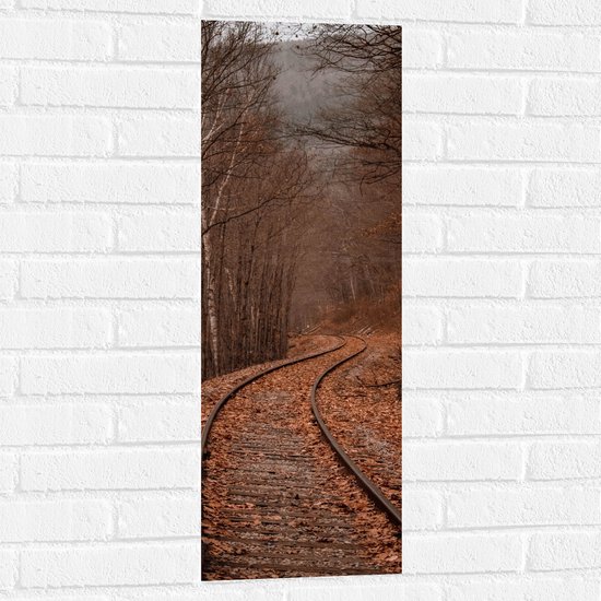 WallClassics - Muursticker - Treinrails tussen Bossen - 30x90 cm Foto op Muursticker