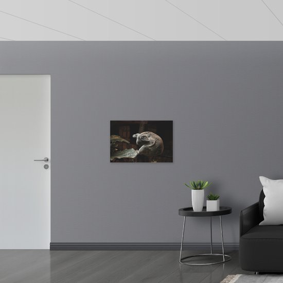 WallClassics - Poster Glossy – Koala Endormi - 75x50 cm Photo sur Papier Poster avec Finition Brillante