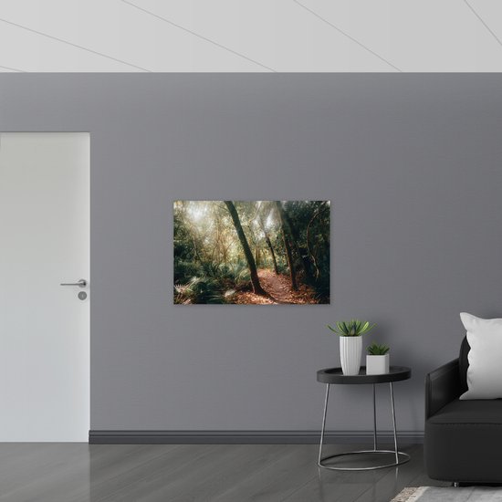 WallClassics - Muursticker - Chemin Forestier dans une Forêt Tropicale - 105x70 cm Photo sur Muursticker