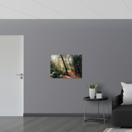 WallClassics - Muursticker - Chemin Forestier dans une Forêt Tropicale - 80x60 cm Photo sur Muursticker