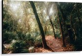 WallClassics - Canvas  - Bospad in een Tropisch Bos - 150x100 cm Foto op Canvas Schilderij (Wanddecoratie op Canvas)