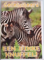 Gefeliciteerd met je verjaardag! Een dikke knuffel! Een grappige kaart met zebra's. Een leuke kaart om zo te geven of om bij een cadeau te voegen. Een dubbele wenskaart inclusief envelop en in folie verpakt.