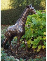 Girafe petite BRONZE MASSIF 104 cm de haut - statue en bronze - statue de jardin - bronze de haute qualité - figure décorative - intérieur - accessoire - pour l'intérieur - pour l'extérieur - cadeau - cadeau - noël - nouvel an - anniversaire