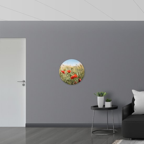 WallClassics - Cercle Mural Dibond - Coquelicots Rouges dans l'Herbe - Photo 60x60 cm sur Cercle Mural Aluminium (avec système d'accrochage)