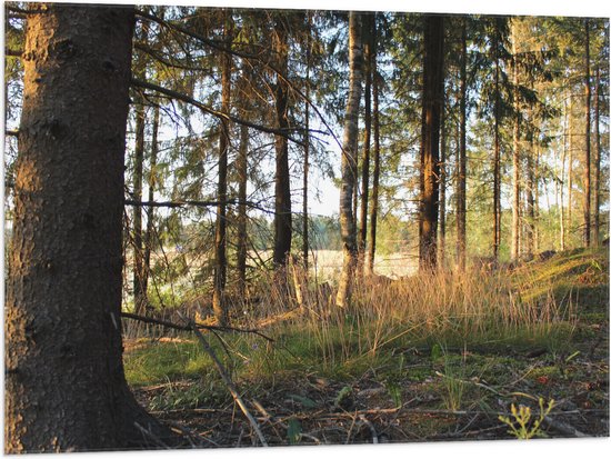 WallClassics - Drapeau - Forêt avec rayons de soleil couchants - 100x75 cm Photo sur Drapeau Polyester