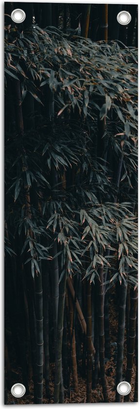 WallClassics - Tuinposter – Donkere Bamboe Bomen - 20x60 cm Foto op Tuinposter  (wanddecoratie voor buiten en binnen)