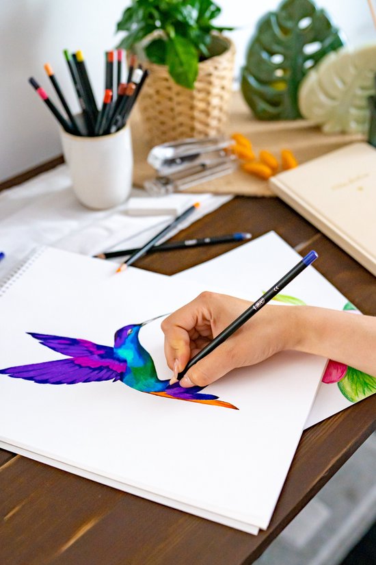 Hand tekent een kolibrie met paarse, blauwe en groene potloden.