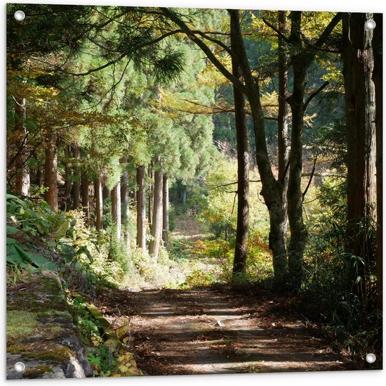 WallClassics - Tuinposter – Zandweg in het Bos met Mooie Lichtinval - 80x80 cm Foto op Tuinposter  (wanddecoratie voor buiten en binnen)