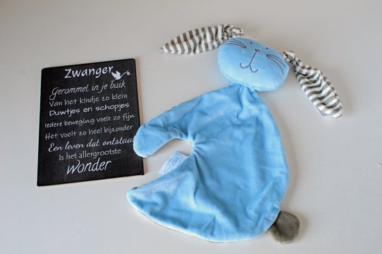 Brievenbus cadeau knuffelkonijn blauw - cadeau zwangerschap - kraam cadeau - babyshower van Whi©️te قابs. — afbeelding 2