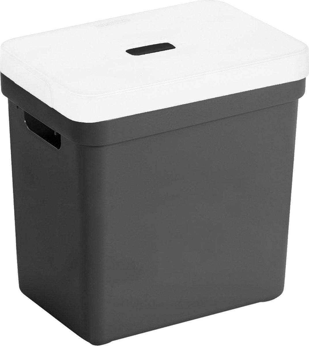 Opbergboxen/opbergmanden zwart van 25 liter kunststof met transparante deksel - Opbergbox
