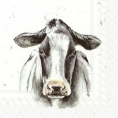 60x Serviettes colorées 3 épaisseurs vache 33 x 33 cm - Thème vache/animal