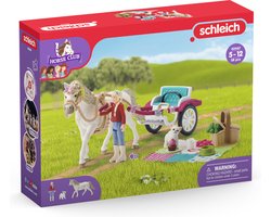 foto van schleich HORSE CLUB Speelfigurenset - Koets voor paardenshow - Kinderspeelgoed voor Jongens en Meisjes - 5 tot 12 jaar - 33 Onderdelen - 42467