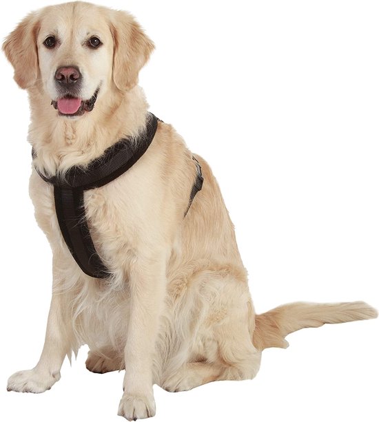 theater bijeenkomst Buitenshuis Karlie harness cross 25mm 52-60cm zwart honden halsband harnas tuigje |  bol.com