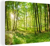 Canvas - Schilderij natuur - Bladeren - Groen - Bossen - Muurdecoratie - 80x60 cm - Canvas doek