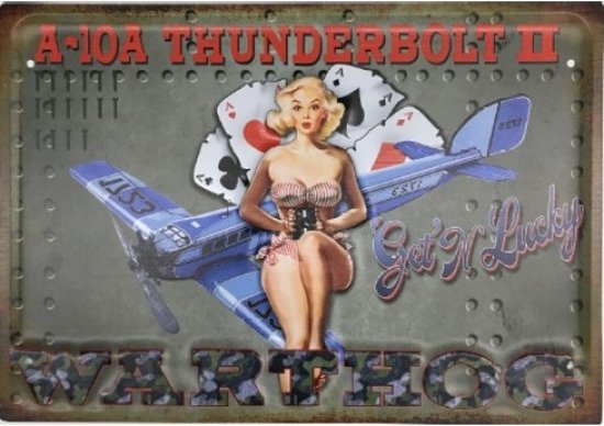 Wandbord - Thunderbolt II Warthog - Leuk Voor De Vliegtuig Liefhebber