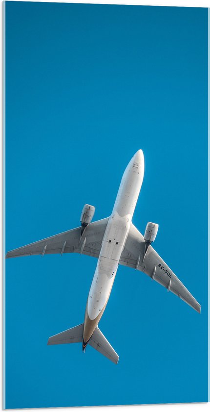 WallClassics - Plexi Acrylglas- Onderkant van Vliegtuig bij Blauwe Lucht - 50x100 cm Foto op Acrylglas (Wanddecoratie op Acrylaat)