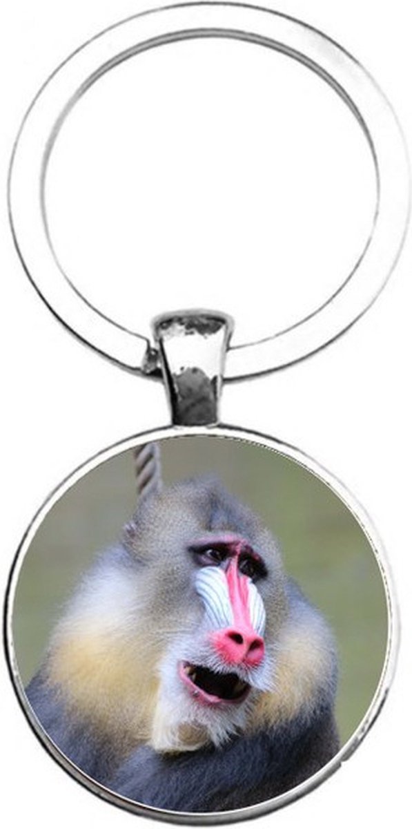 Sleutelhanger Glas - Baboon