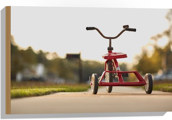 WallClassics - Bois - Tricycle Rouge sur Sentier - 60x40 cm - épaisseur 12 mm - Photo sur Bois (Avec Système d'accrochage)