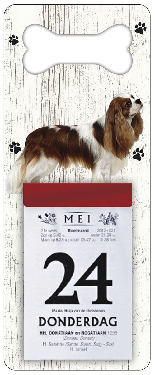 Scheurkalender 2026 Hond: King Charles